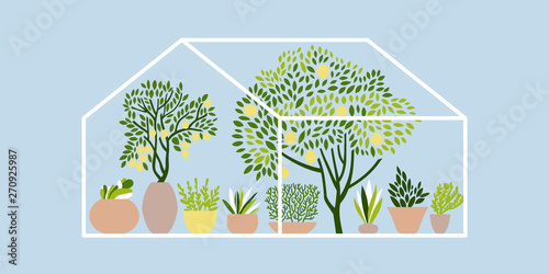 Greenhouse with fruit trees  herbs and plants in pots. Vector illustration.