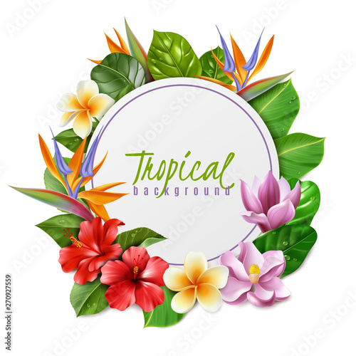 raelistic exotic flowers frame illustration