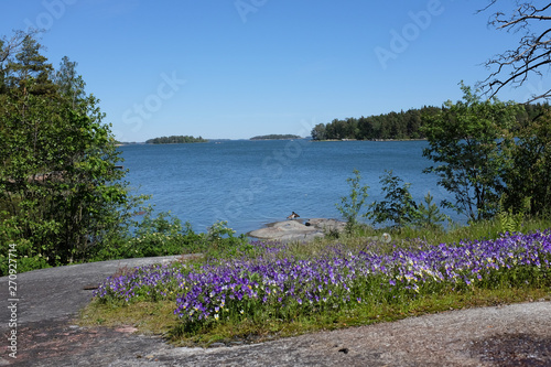 Beautiful nature landscape and sea view to Baltic Sea. Violets in front. Laajasalo area in Helsinki, Finland