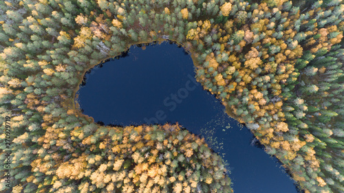 Beautiful Autumn. Small lake in the middle of the forest. Amazing colors of the treetops, Top Down Image of the wildwood.