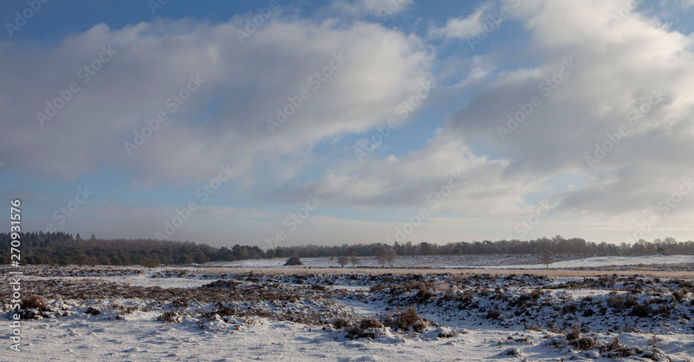 Winter Havelte Drente Netherlands. Snow. Winter Havelte Drente Netherlands. Snow.