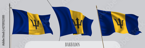 Set of Barbados waving flag on isolated background vector illustration