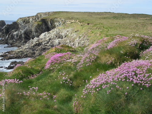 Картината върху платно Bantry Bay in Ireland