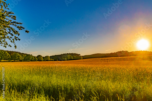 View over fields and trees in the light of the setting sun in the Lueneburg Heath in Germany.