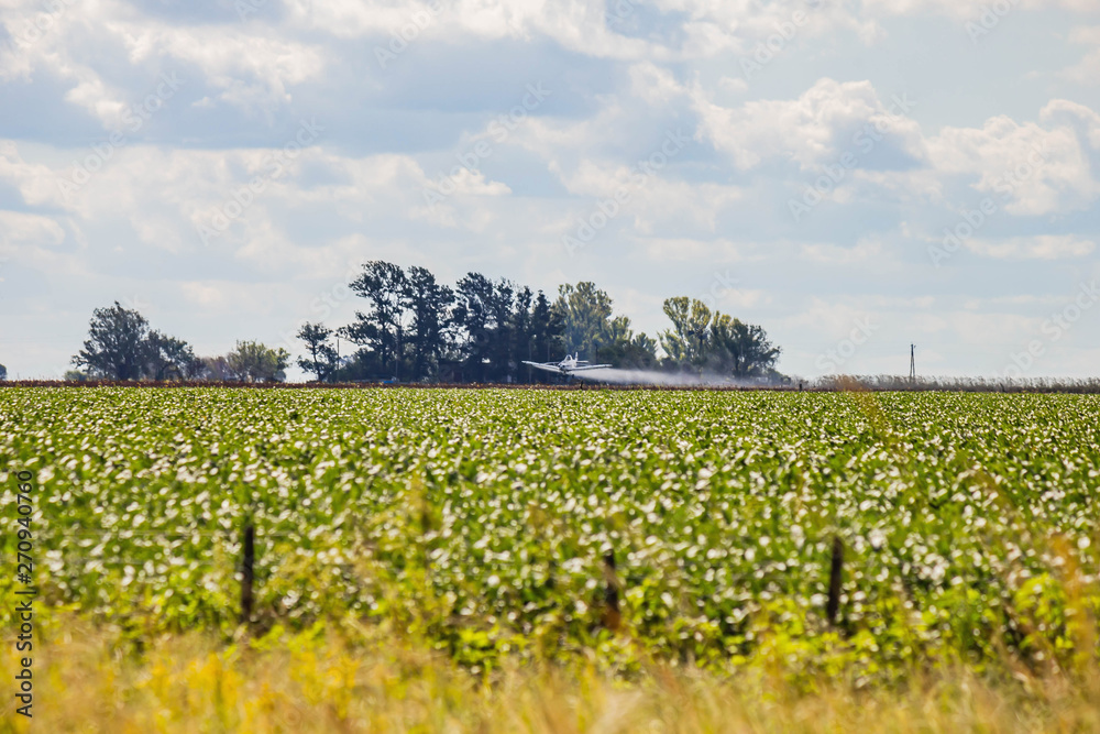 A crop duster applies chemicals to a field.