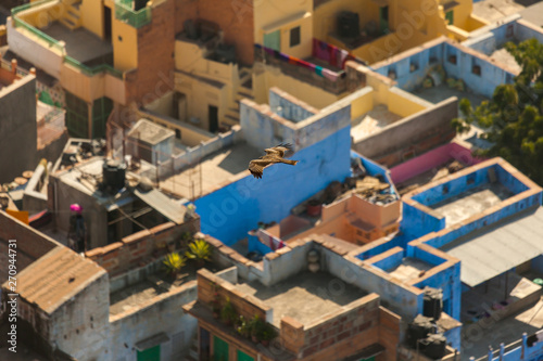 Rooftops of the blue city of Jodhpur