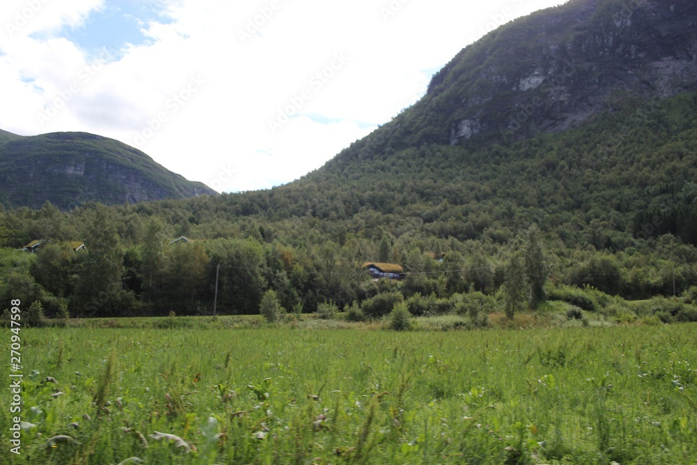 Fototapeta premium Road trip