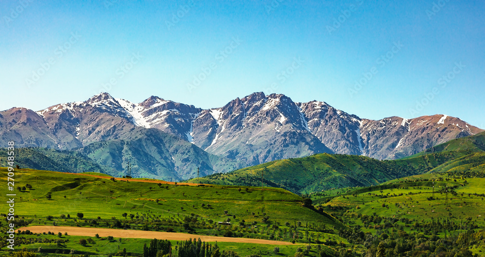 Fototapeta premium Beautiful mountains and fields panorama