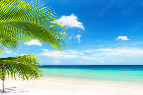 Coconut palm tree against blue sky and beautiful beach