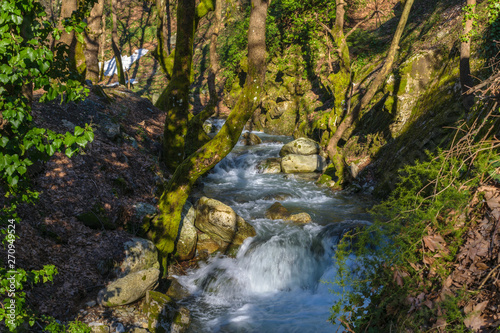 Steni village river at Dirfy mountain, Evia