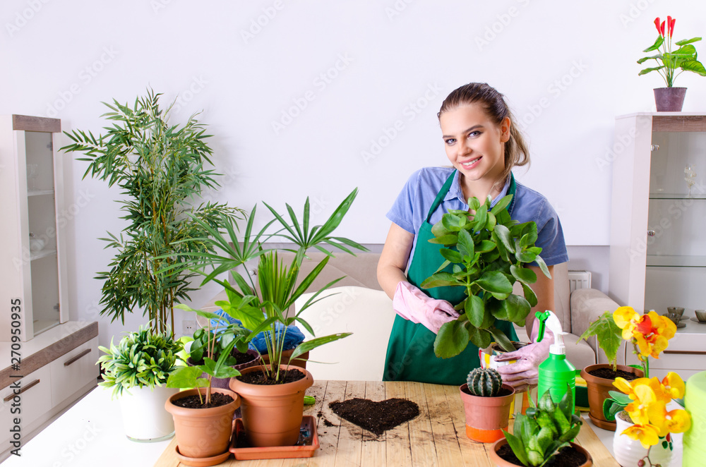 Young female gardener with plants indoors Young female gardener with plants indoors