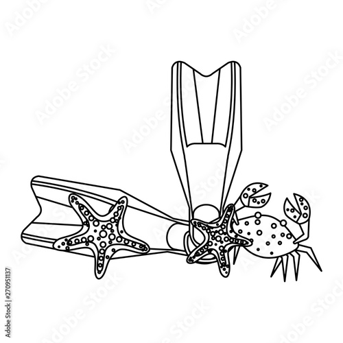 diving fins with crab and starfish