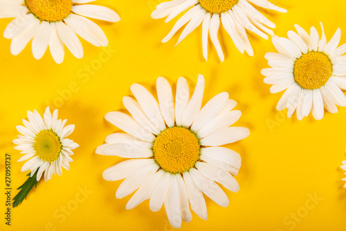 Floral camomile pattern on bright yellow background, top view, flat lay