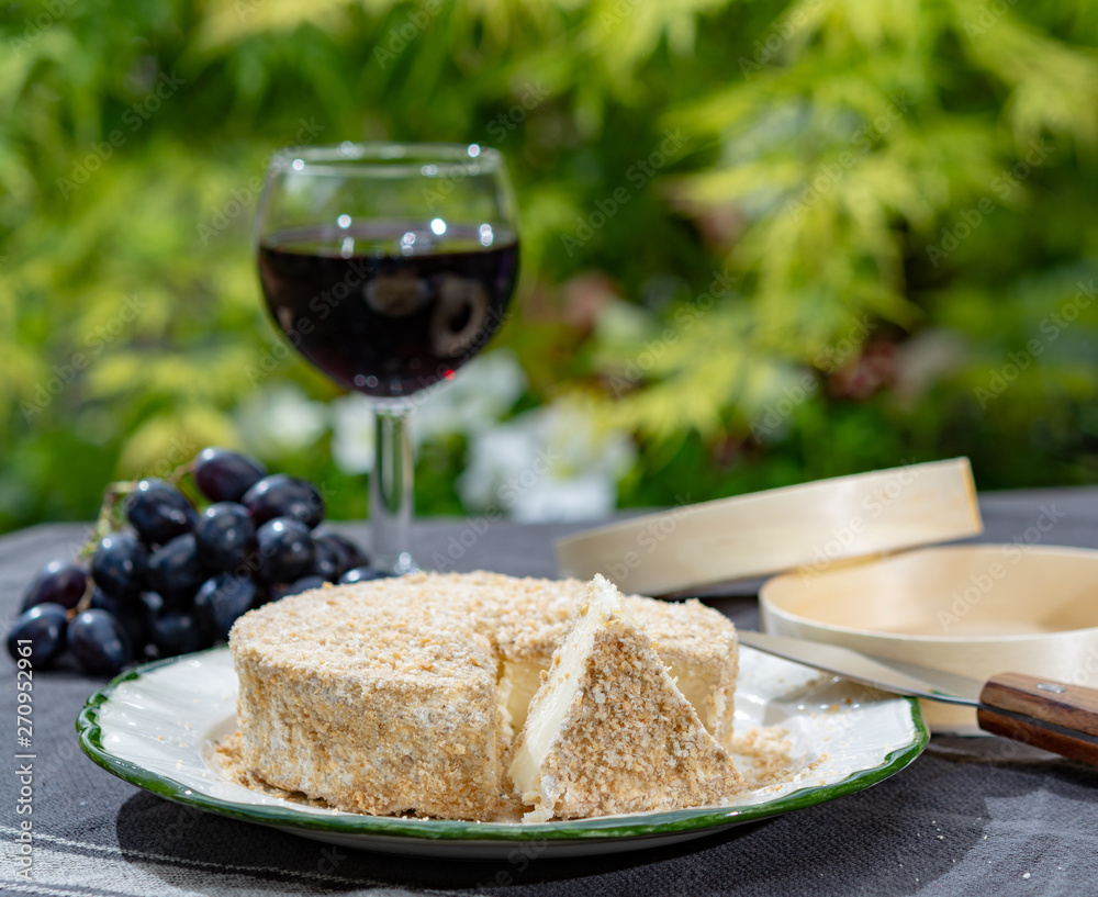 French cheeses collection, piece of fermented cow milk cheese Camembert au Calvados served with glass of sweet red port wine in green garden French cheeses collection, piece of fermented cow milk cheese Camembert au Calvados served with glass of sweet red port wine in green garden