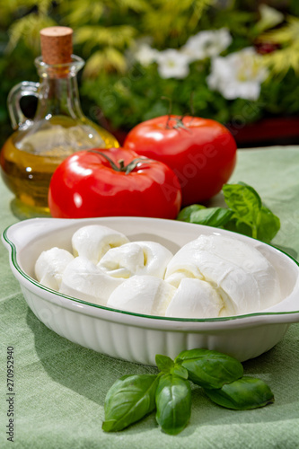 Twisted to form a plait treccia mozzarella Italian soft cheese served with fresh basil and tomatoes