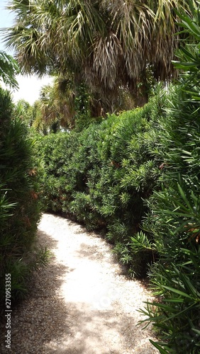 Hedge Maze Path 2