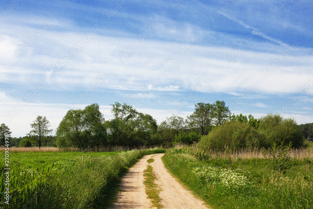 Rural sand road through summer meadow. Blue sky sunny day landscape.