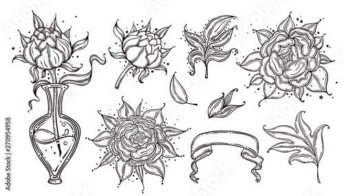 Fototapeta Naklejka Na Ścianę i Meble -  Collection set of dog rose flower and leaves drawing illustration. for pattern, logo, template, banner, posters, invitation and greeting card design.