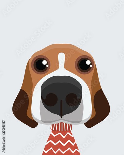 Cute Beagle dog.