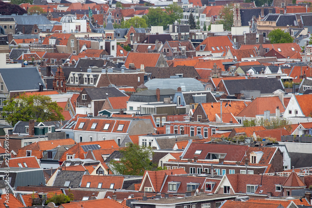 Obraz premium Skyline of Haarlem, The Netherlands