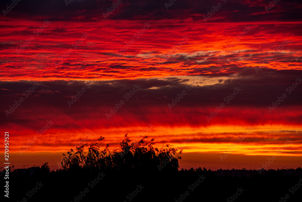 dramatic red sunset colors in the sky above trees and fields dramatic red sunset colors in the sky above trees and fields