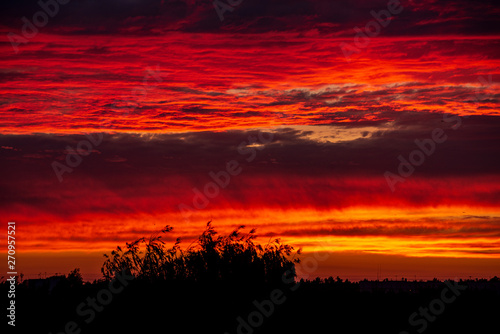 dramatic red sunset colors in the sky above trees and fields