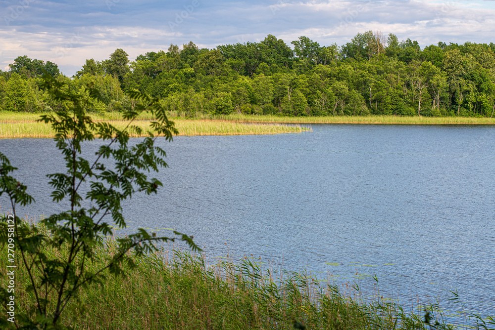 calm countryside lake river with cloud reflections in water and green shores