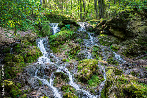 forest mountain river with waterfall over the rocks