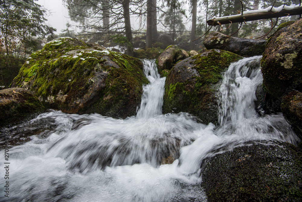 Fototapeta premium forest mountain river with waterfall over the rocks
