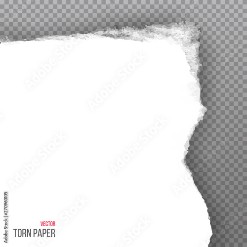 Realistic torn white corner of paper isolated on transparent background. Vector illustration.