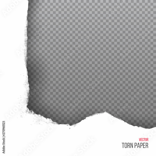 Realistic torn white corner of paper isolated on transparent background. Vector illustration.