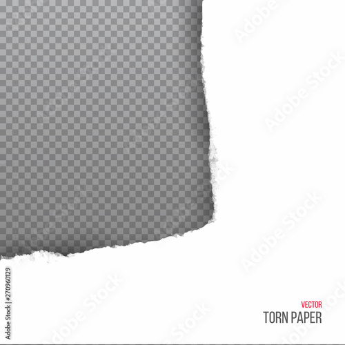 Realistic torn white corner of paper isolated on transparent background. Vector illustration.
