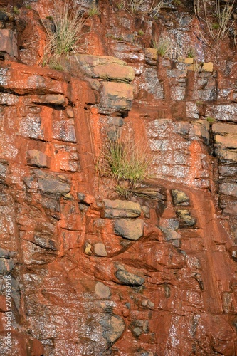 Falaise ocre avec pierres apparentes et ruisselantes, textures rugueuses et petites touffes d'herbes accrochées à la roche photo