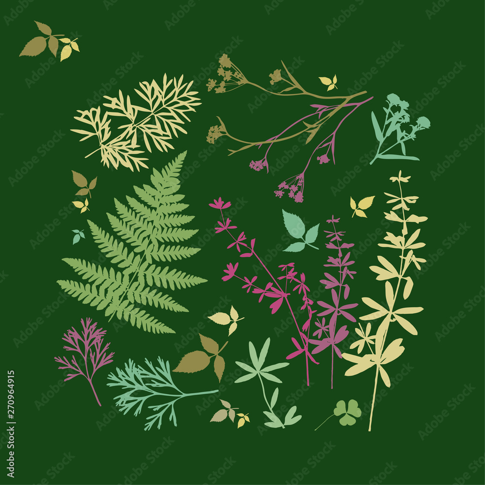 Set of silhouettes of botanical elements. Branches with leaves, herbs, wild plants, trees. Garden and forest collection of leaves and grass. Vector illustration on green background 