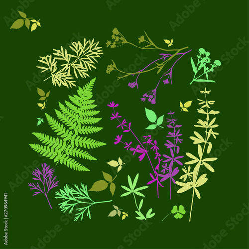 Set of silhouettes of botanical elements. Branches with leaves  herbs  wild plants  trees. Garden and forest collection of leaves and grass. Vector illustration on green background 