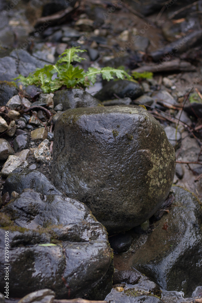 Dark background of Wet stones in mountain river Dark background of Wet stones in mountain river