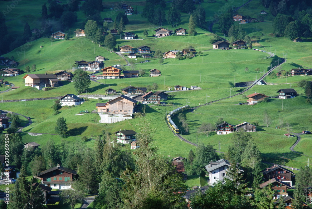 Gründenwald, Swiss