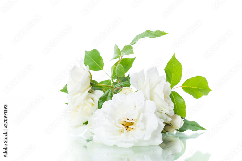 bouquet of beautiful white roses isolated on white bouquet of beautiful white roses isolated on white