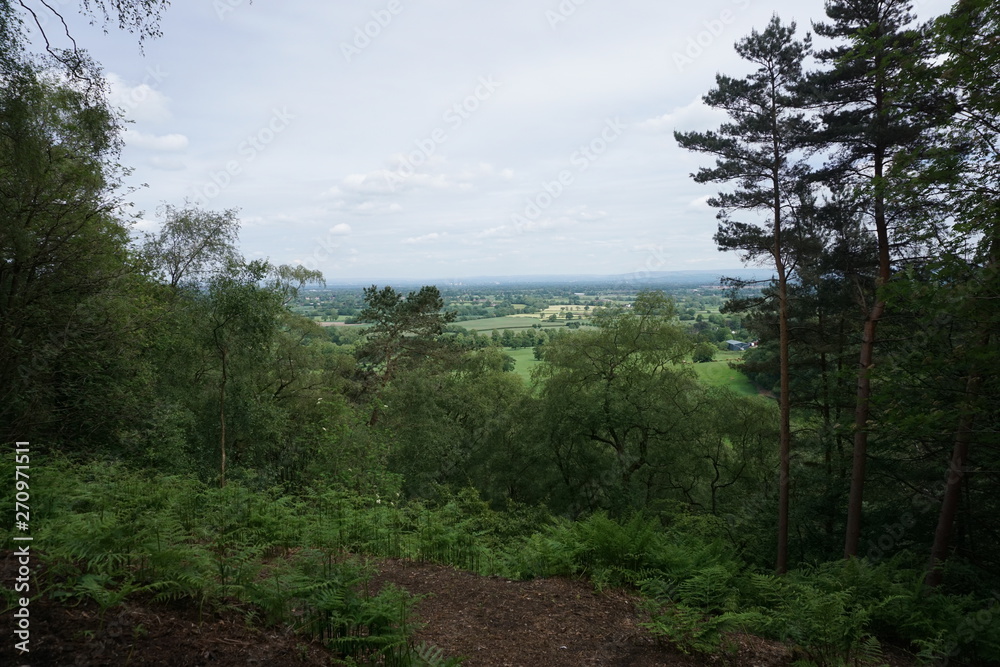 Alderley Edge View