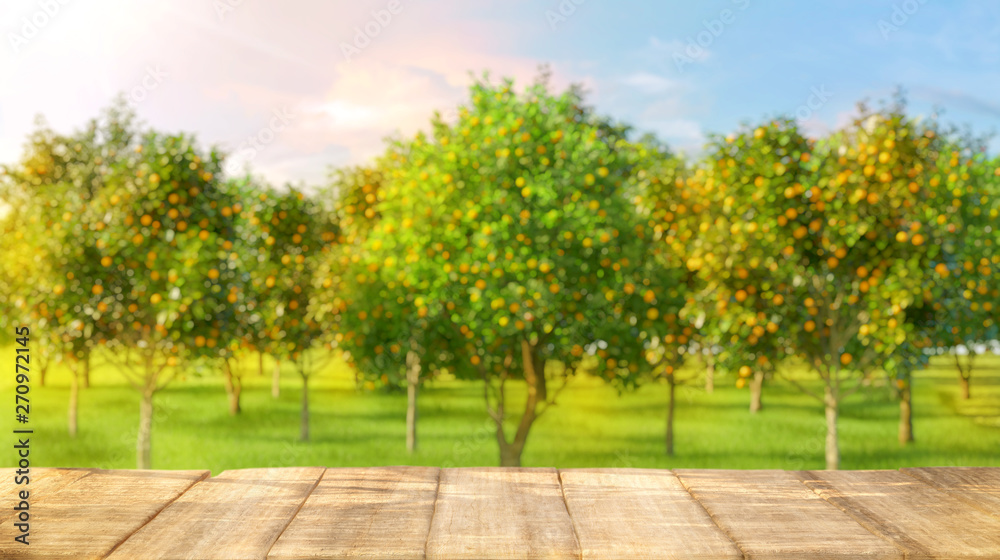 Wooden table top with free space for product and blurred orange garden trees with orange fruits in sun light. Oranges, orange juice, smoothie, yogurt product advertising key visual design elements. 3D