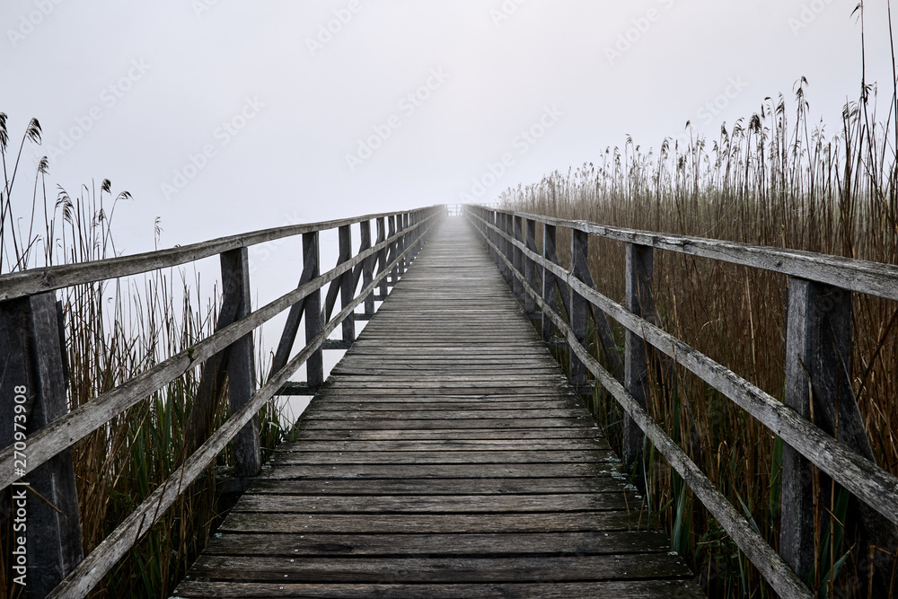Obraz premium Long boardwalk Federseesteg on a foggy morning with reed fields in Bad Buchau, Germany