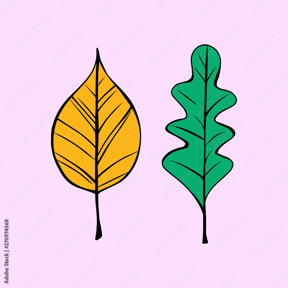 Cartoon style vector illustration of two yellow, green leaves. Great design  elements for sticker, card, print or poster. Drawing isolated on light pink  background. Autumn, nature, season, tree, botany Stock Vector |