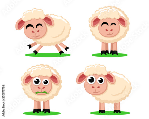 Set of cute sheep on a white background.