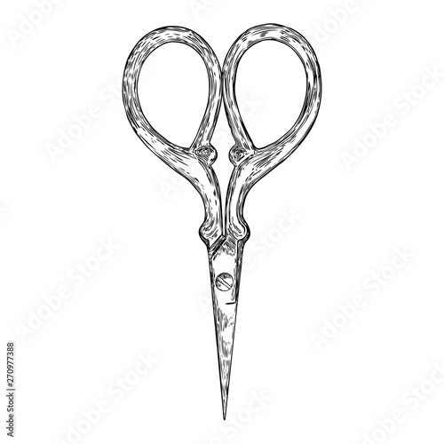 Decorative scissors engraving illustration on white background. Hand drawing. Witch magic tool. Vector.