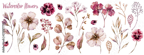 Floral elements collection, watercolor flower set