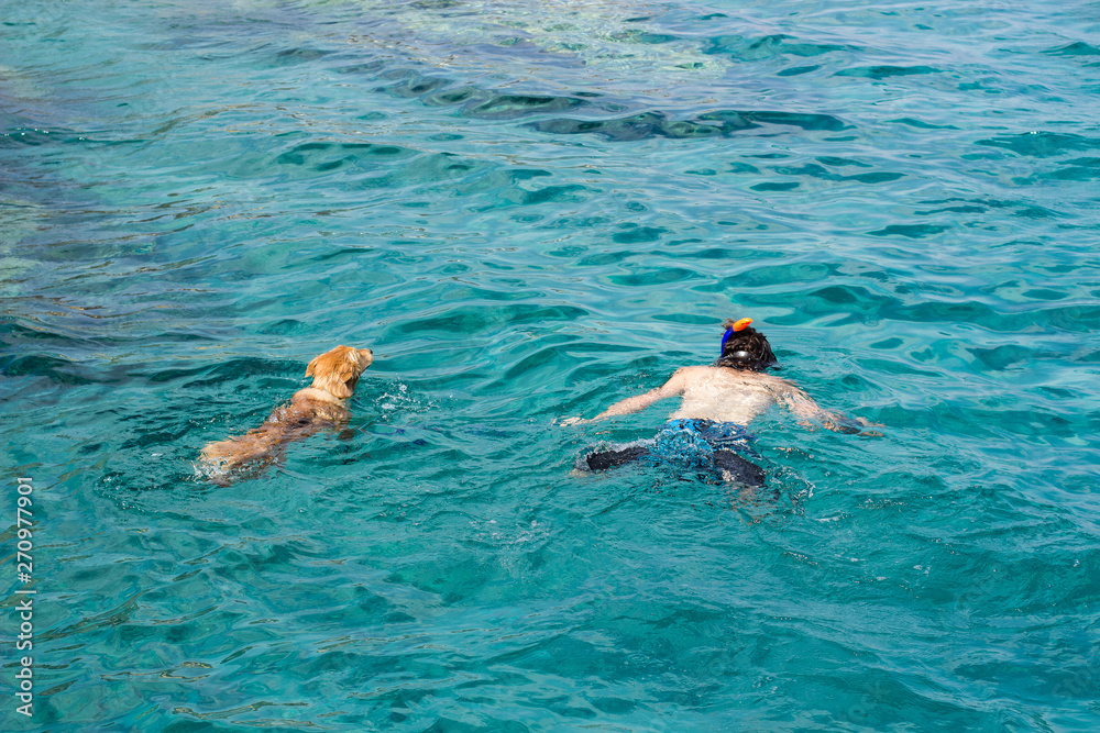 friendship between human and his pet concept bright photography of swimming guy and dog in blue water 