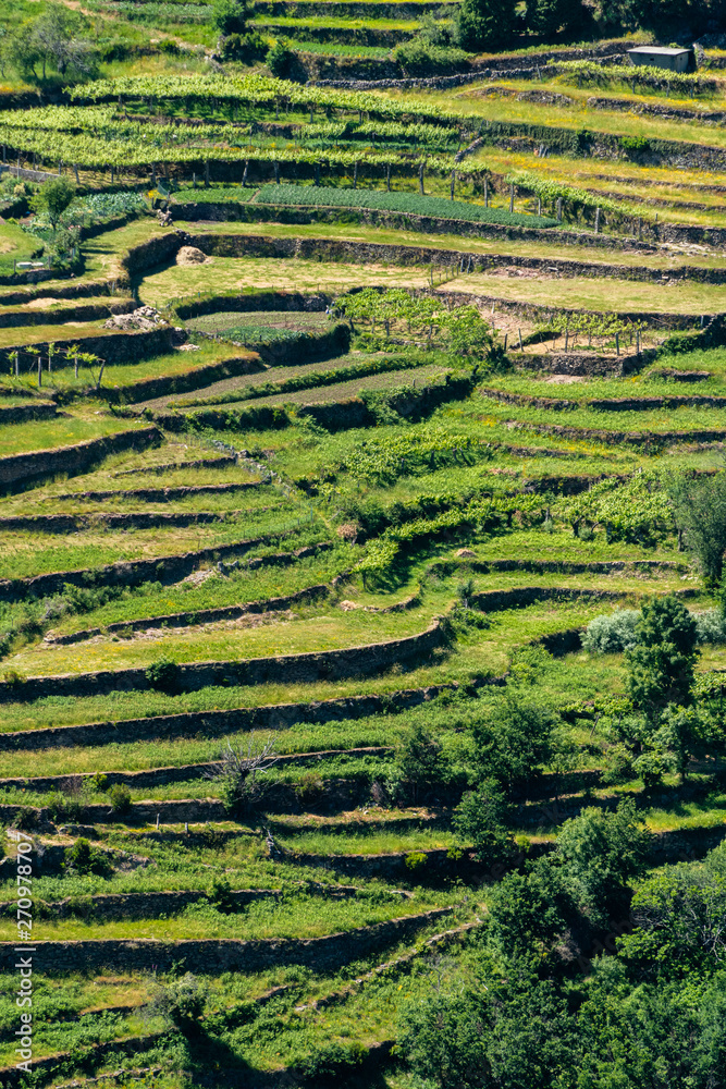 Viewpoit of Sistelo's terraces Viewpoit of Sistelo's terraces