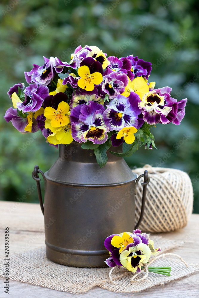 Blumenstrauß aus Hornveilchen in Gelb und Lila in vintage Milchkanne Stock  Photo | Adobe Stock