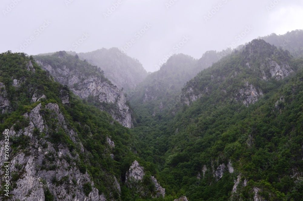 large rocks and trees on them