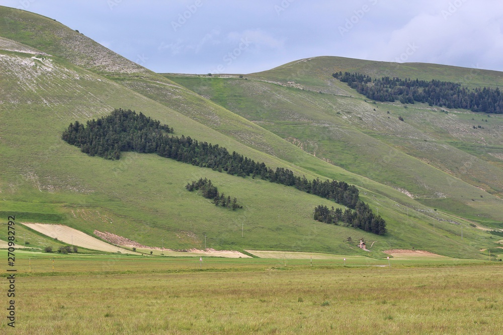The plateau of Castelluccio di Norcia (Umbria, Italy). On the hill the shape of Italy made by trees.